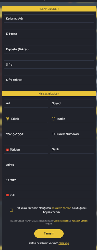 Efsanebahis Giriş